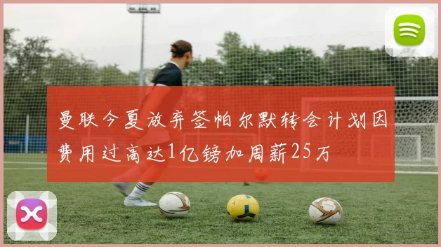 曼联今夏放弃签帕尔默转会计划因费用过高达1亿镑加周薪25万